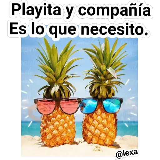 Playita🍹🏝️🌞🌊 sticker 14