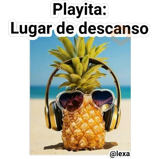 Playita🍹🏝️🌞🌊 sticker 20