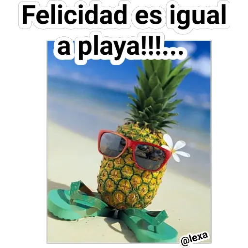 Playita🍹🏝️🌞🌊 sticker 12