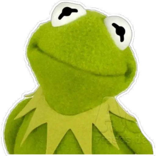 RanaRené🐸  preview