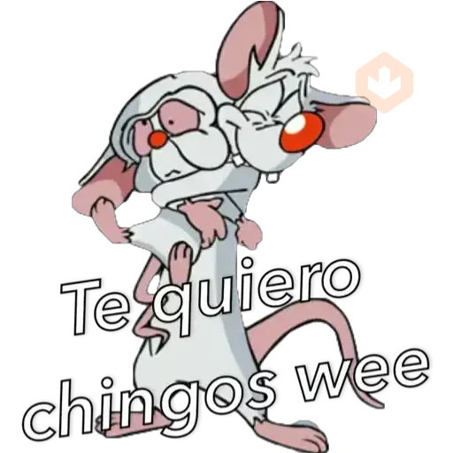 Pinky&Cerebro sticker 13