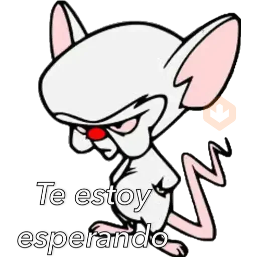 Pinky&Cerebro sticker 11
