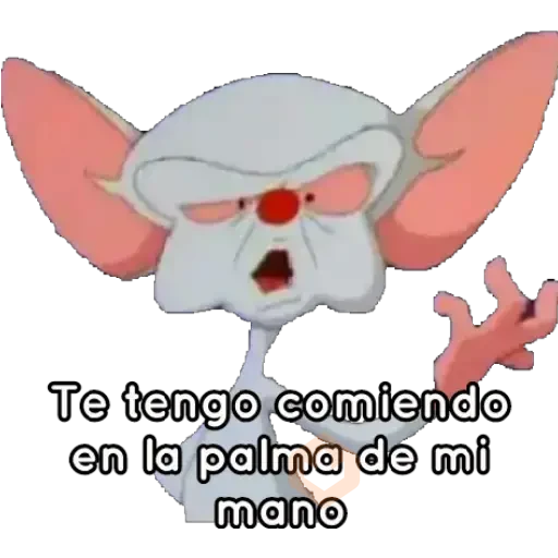 Pinky&Cerebro sticker 16
