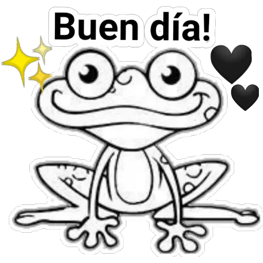 Ranita🐸black&white 