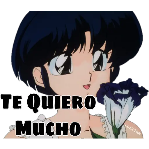 Ranma (Rumiko Takahashi) 