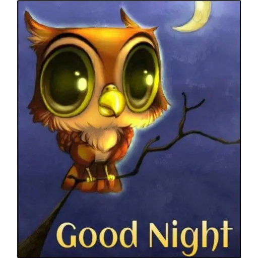Buenas Noches🌙⭐