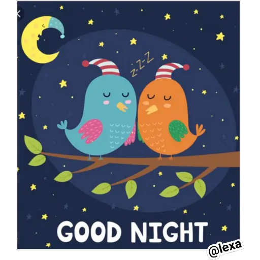 Buenas Noches🌙⭐
