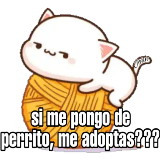 Gatos Horny (Anel y John)