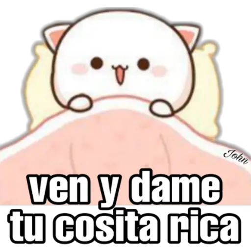 Gatos Horny (Anel y John)