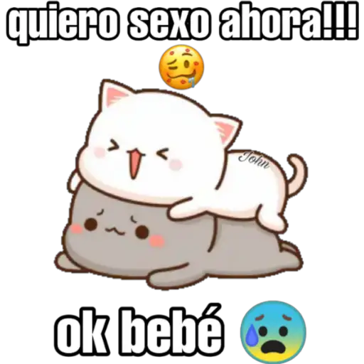 Gatos Horny (Anel y John)