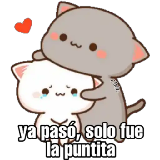 Gatos Horny (Anel y John)