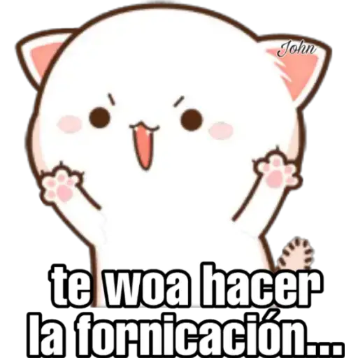 Gatos Horny (Anel y John)