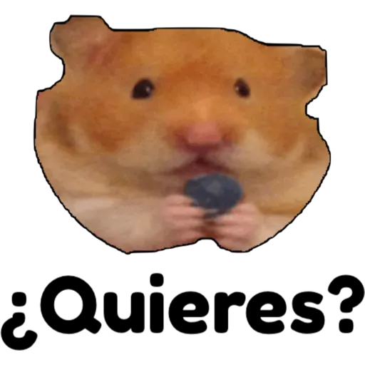 hámster 🐹 2 aish💕 preview