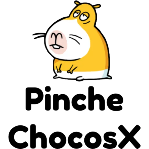 hámster 🐹 2 aish💕