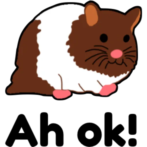 hámster 🐹 2 aish💕
