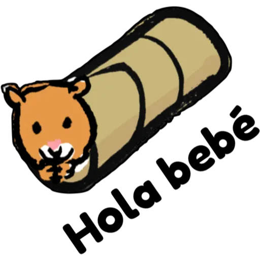 hámster 🐹 2 aish💕