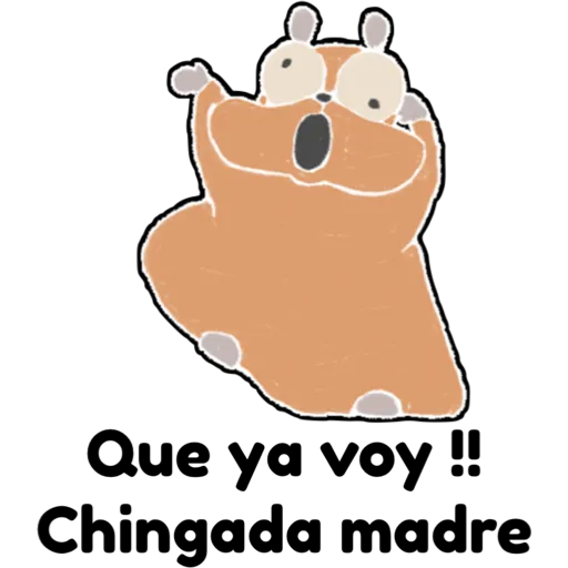 hámster 🐹 2 aish💕
