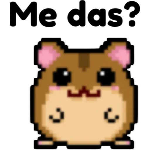 hámster 🐹 2 aish💕 preview