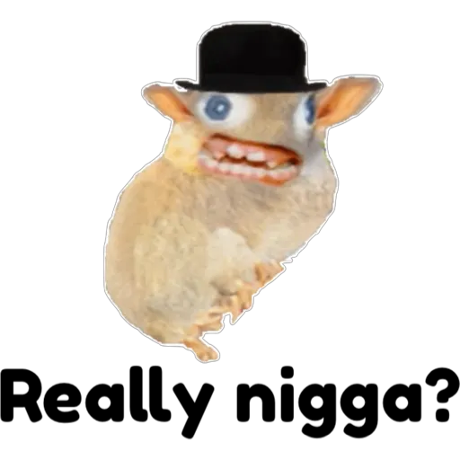 hámster 🐹 2 aish💕
