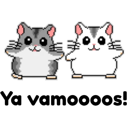 hámster 🐹 2 aish💕