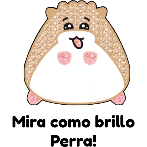 hámster 🐹 2 aish💕