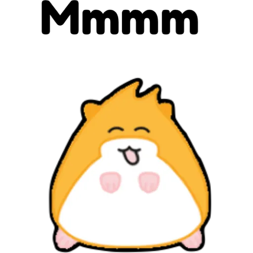 hámster 🐹 2 aish💕