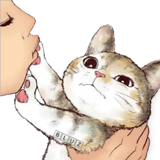 No Karen 🐈 