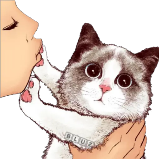 No Karen 🐈 