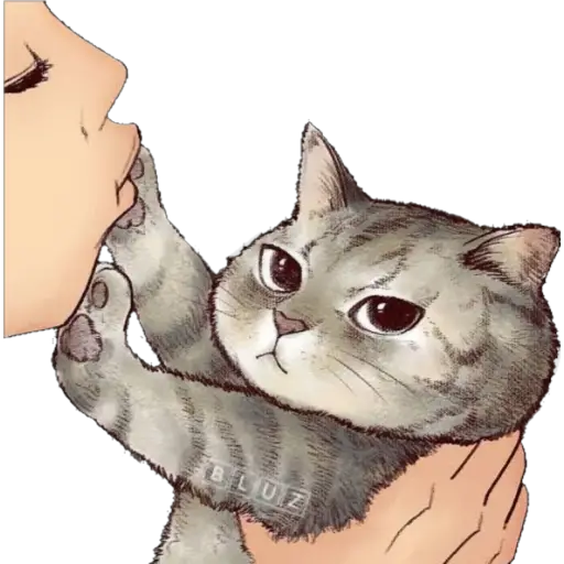 No Karen 🐈 