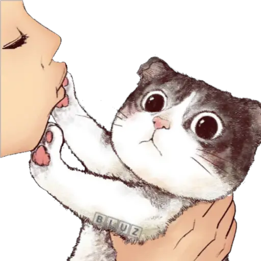 No Karen 🐈 