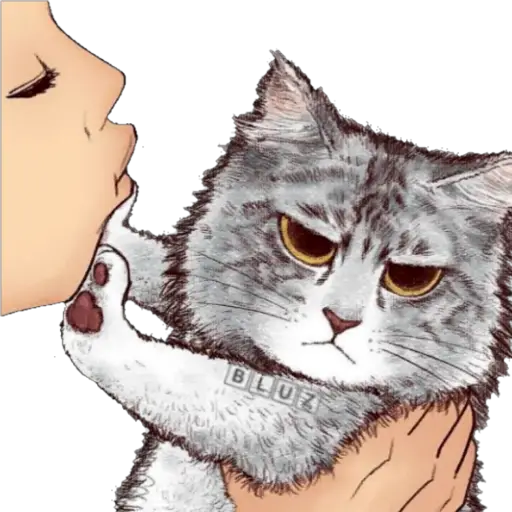 No Karen 🐈 