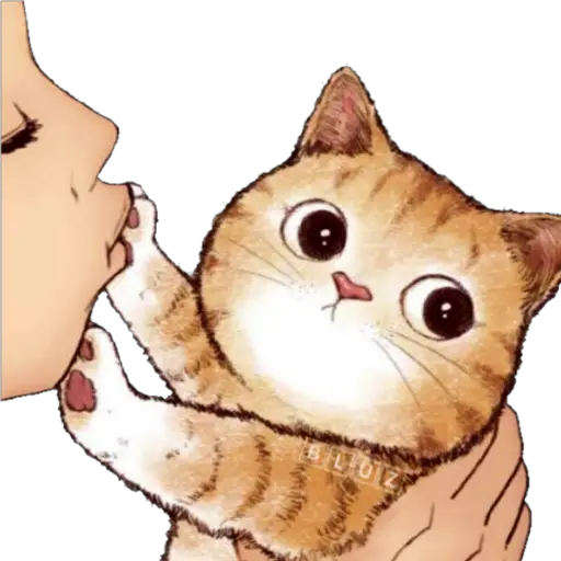 No Karen 🐈  preview