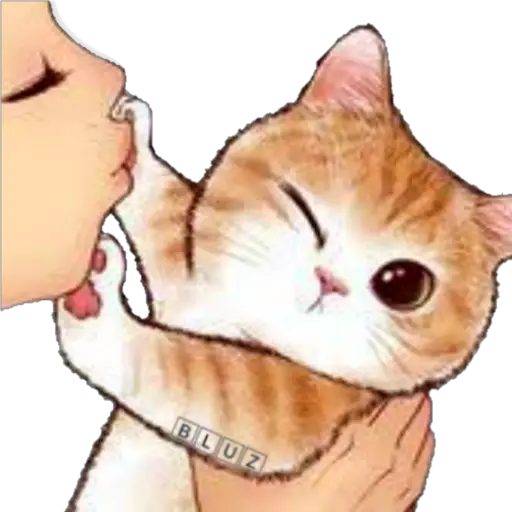 No Karen 🐈 