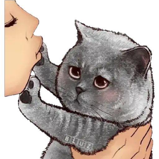 No Karen 🐈 