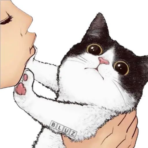 No Karen 🐈  preview