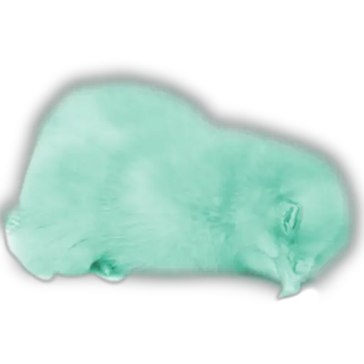 Pollitos x( y gato 