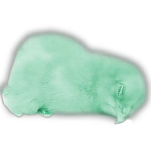 Pollitos x( y gato  preview