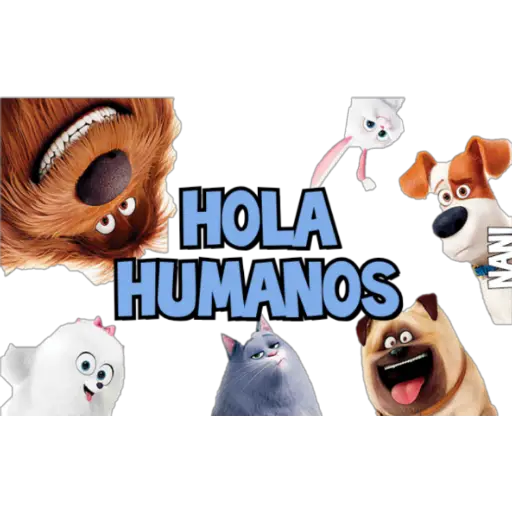 Saludos Pack 2