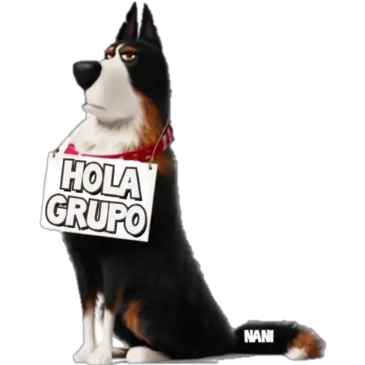 Saludos Pack 2