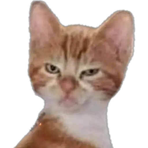 Surtido uwu 
