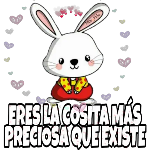 Surtido uwu 