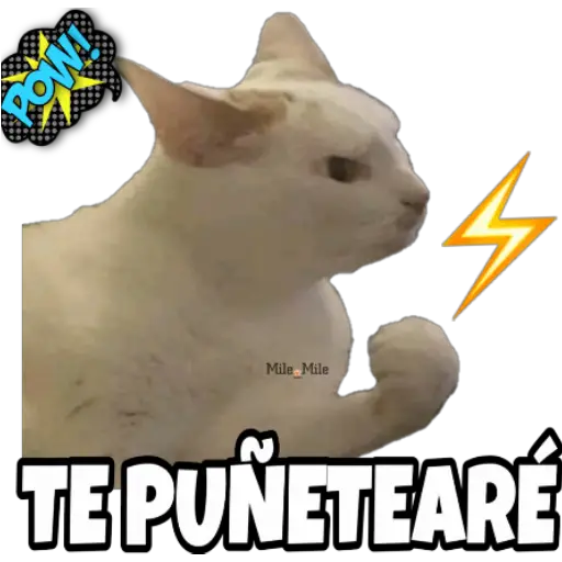 Surtido uwu 