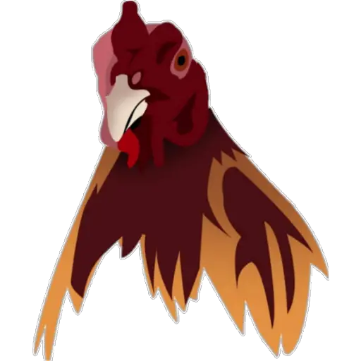 🐓GALLOS DE PELEA🐓 