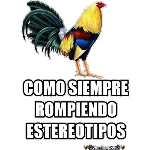 🐓GALLOS DE PELEA🐓  preview