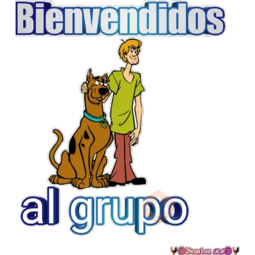 🔻🔻 SURTIDO 🔺🔺 sticker 14