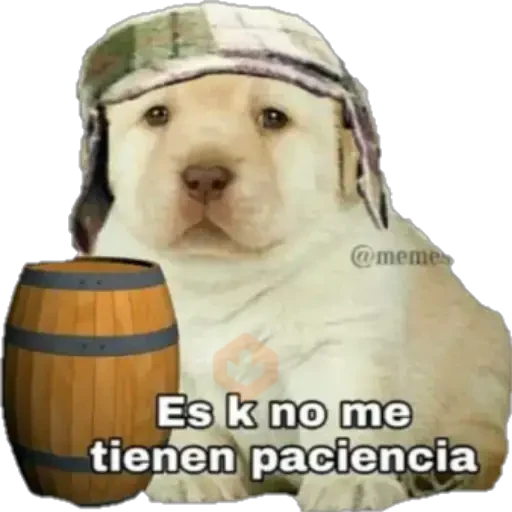perritos sticker 11