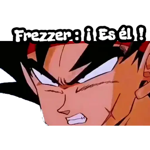 Goku y Frezzer 1 