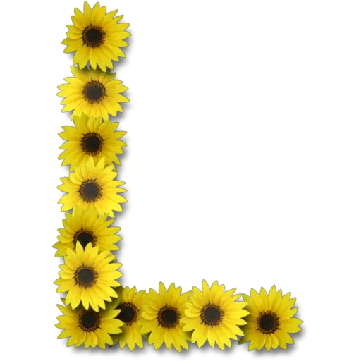 Letras ♡ Girasol 