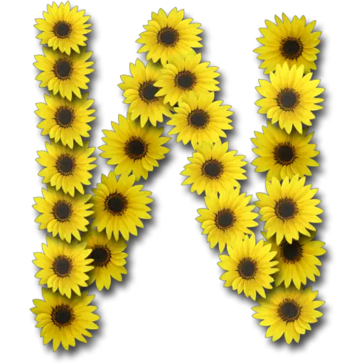 Letras ♡ Girasol 