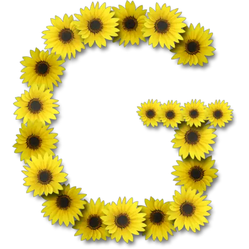 Letras ♡ Girasol 